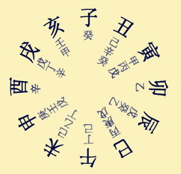 八字自備基礎(chǔ)知識(shí)