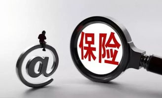 保險(xiǎn)公司條款基礎(chǔ)知識