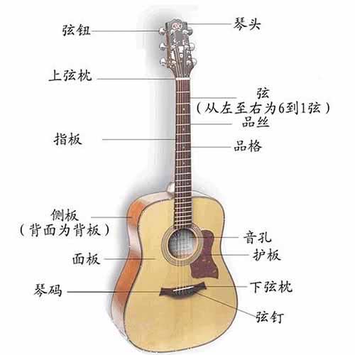 認(rèn)識吉他入門零基礎(chǔ)知識