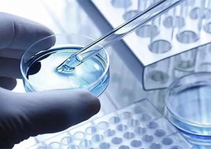 做科學(xué)研究需要哪些基礎(chǔ)知識(shí)