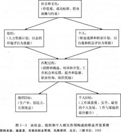 人力資源管理基礎(chǔ)知識內(nèi)容,人力資源管理基礎(chǔ)知識要點,人力資源管理基礎(chǔ)知識試題及答案