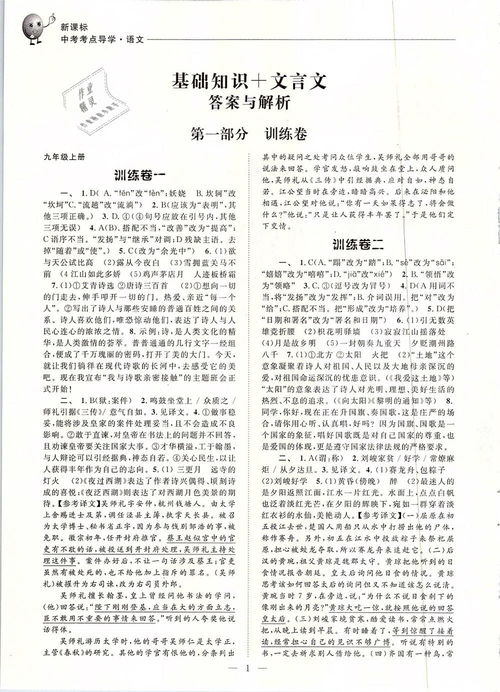 基礎(chǔ)知識,高考語文