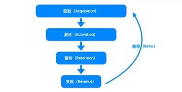 基礎(chǔ)知識(shí)體系的提出