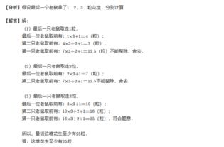 小學(xué)數(shù)學(xué)數(shù)論基礎(chǔ)知識(shí)