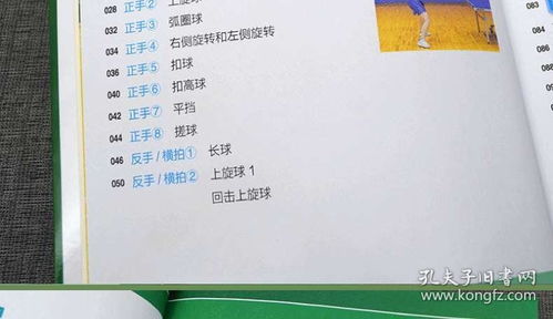 乒乓球,基礎(chǔ)知識(shí),試卷
