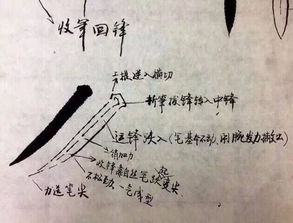 初中基礎(chǔ)書法知識點