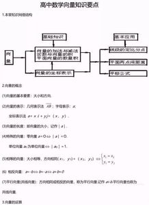 夯實了的基礎(chǔ)知識