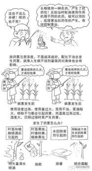 農(nóng)藥基礎知識培訓,農(nóng)藥基礎知識試題,農(nóng)藥基礎知識及概念