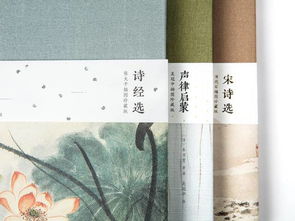2018最美長(zhǎng)安詩(shī)詞基礎(chǔ)知識(shí)