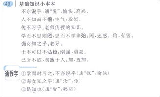 人教版,基礎知識,匯總,語文