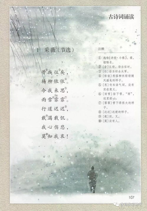 古詩詞基礎(chǔ)知識(shí)要點(diǎn)