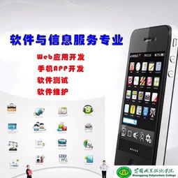 軟件與信息服務(wù)專(zhuān)業(yè)基礎(chǔ)知識(shí)